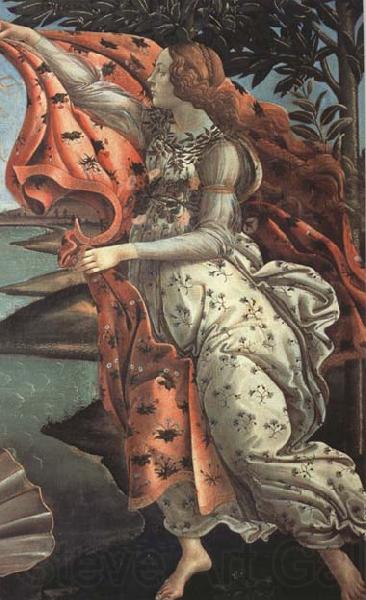 Sandro Botticelli The Birth of Venus Spain oil painting art